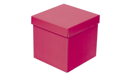 [CAL-CAJ-317910] CALTOM CAJA CUBO GRANDE-317910