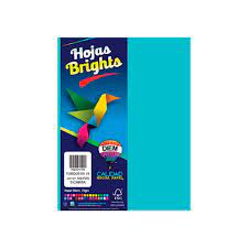 [DIE-HOJ-TURQUEZA] DIEM HOJAS DE COLOR TURQUESA FLUORESCENTE TAMAÑO CARTA PAQ. CON 100 HOJAS-7506231501505